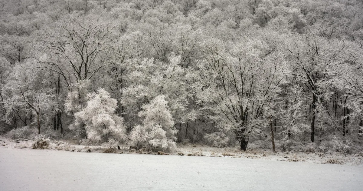 Downtown Ely, MN, MN