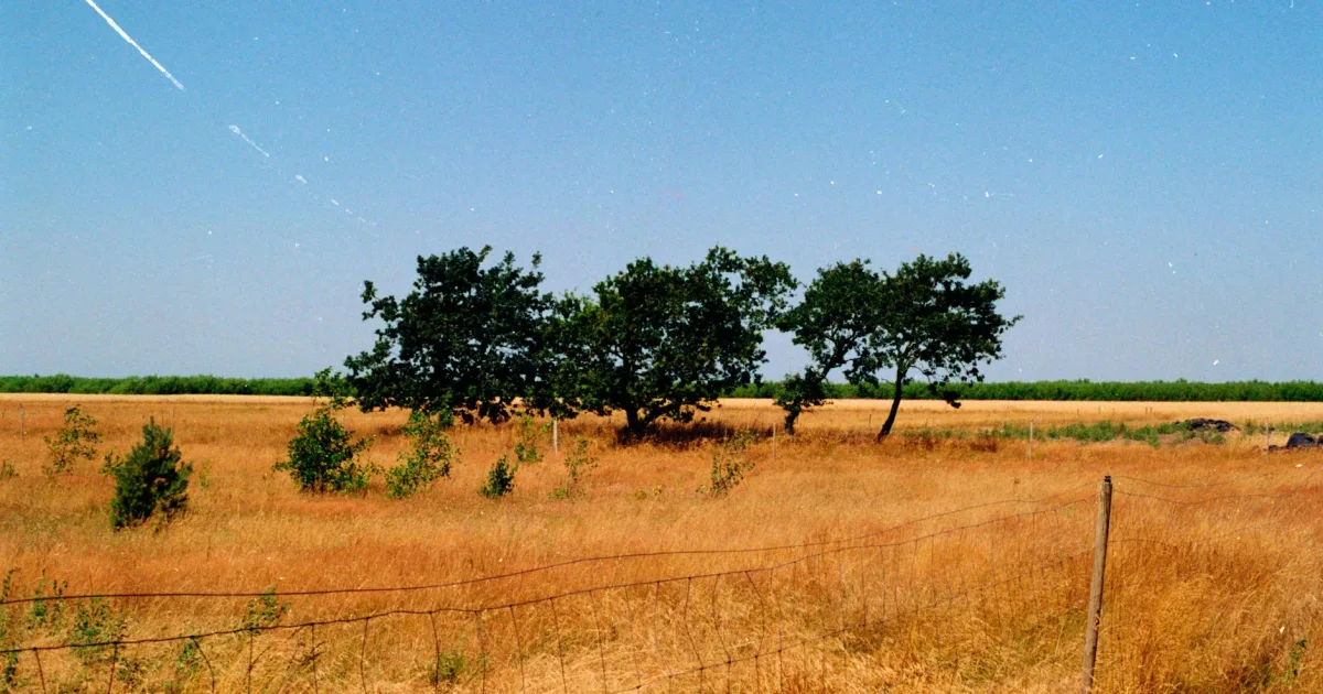 Downtown Euless, TX, TX