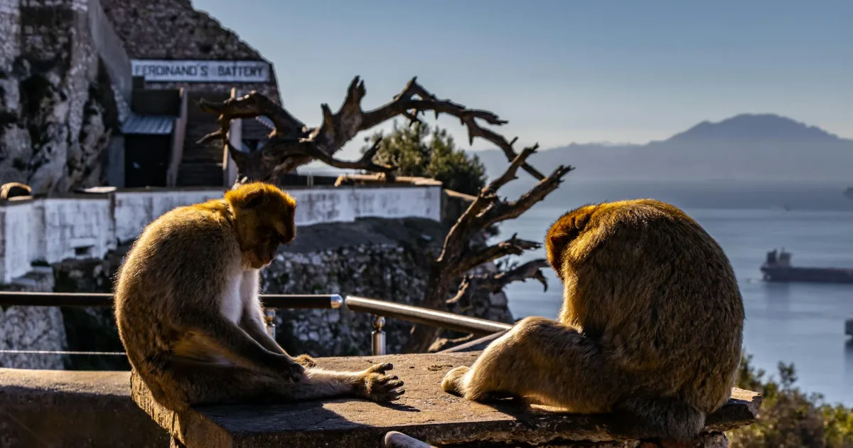 Downtown Ferdinand, IN, IN