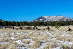 Downtown Flagstaff, AZ, AZ