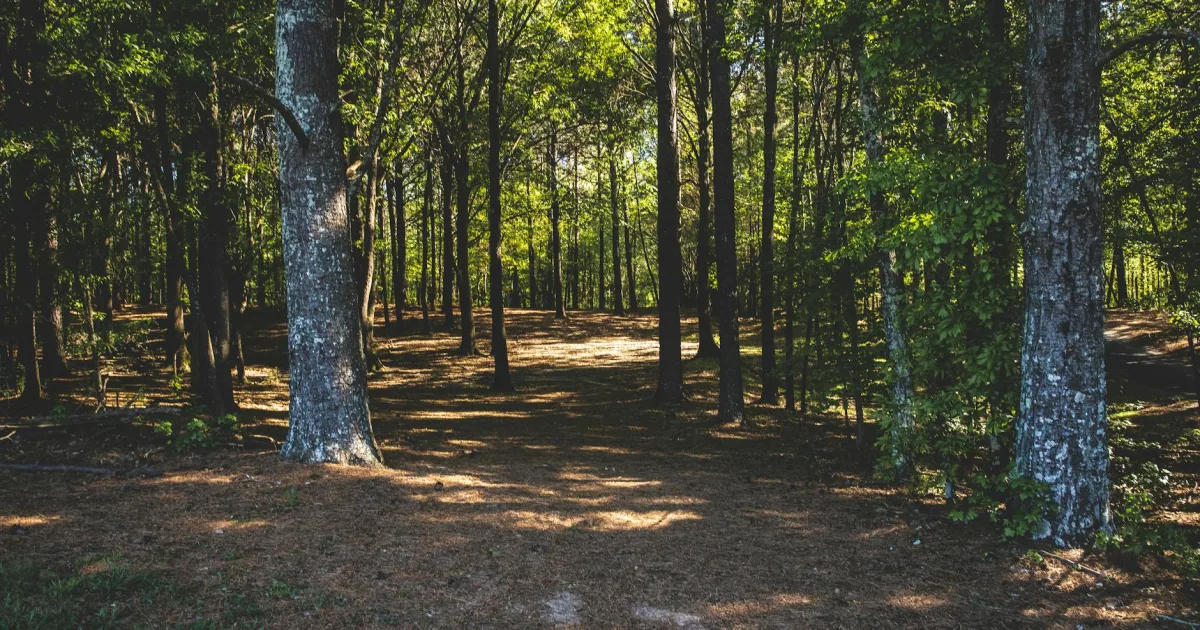 Downtown Forest Acres, SC, SC