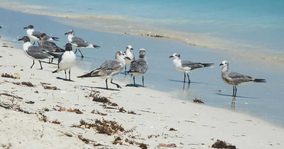 Downtown Franklin, VT, VT