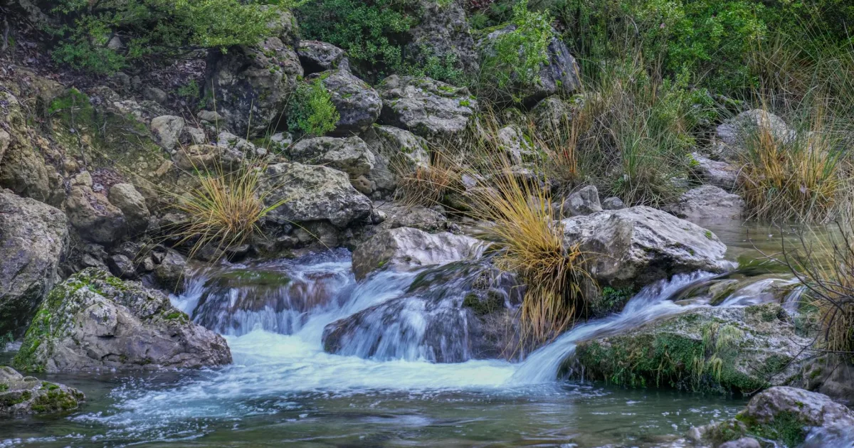 Downtown Grape Creek, TX, TX