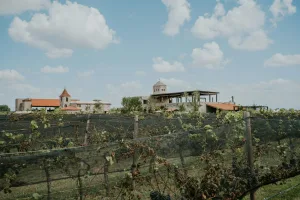 Downtown Grapevine, TX, TX