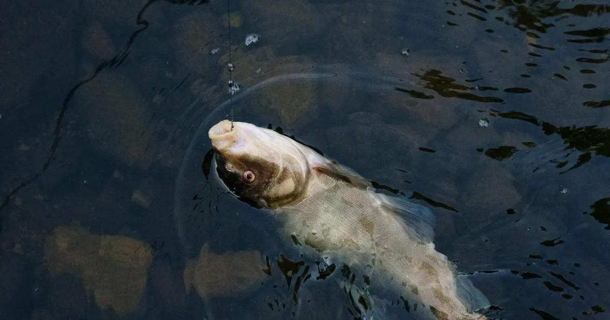 Downtown Grayling, MI, MI