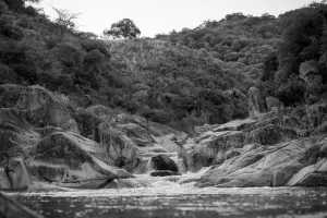 Downtown Great Falls, MT, MT