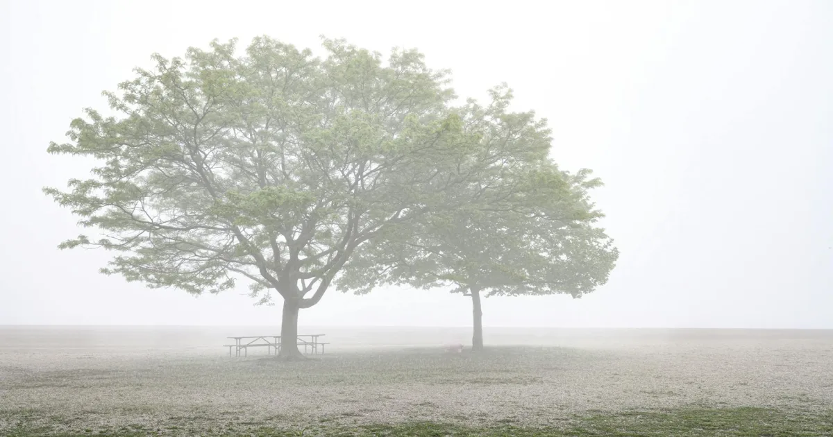 Downtown Greentree, NJ, NJ