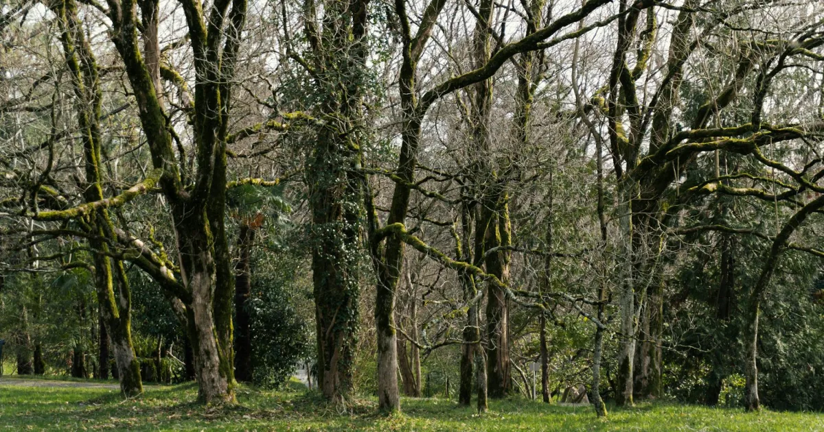 Downtown Greenwood, AR, AR