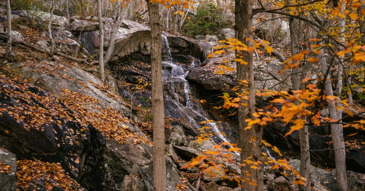 Downtown Hampton Falls, NH, NH