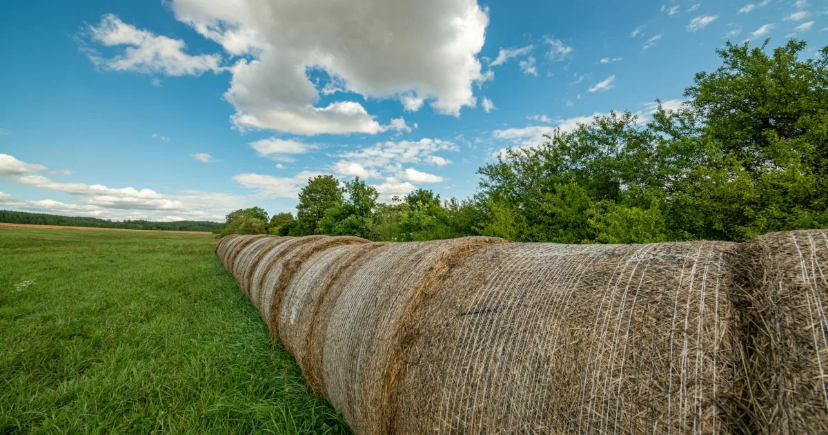 Downtown Hays, KS, KS