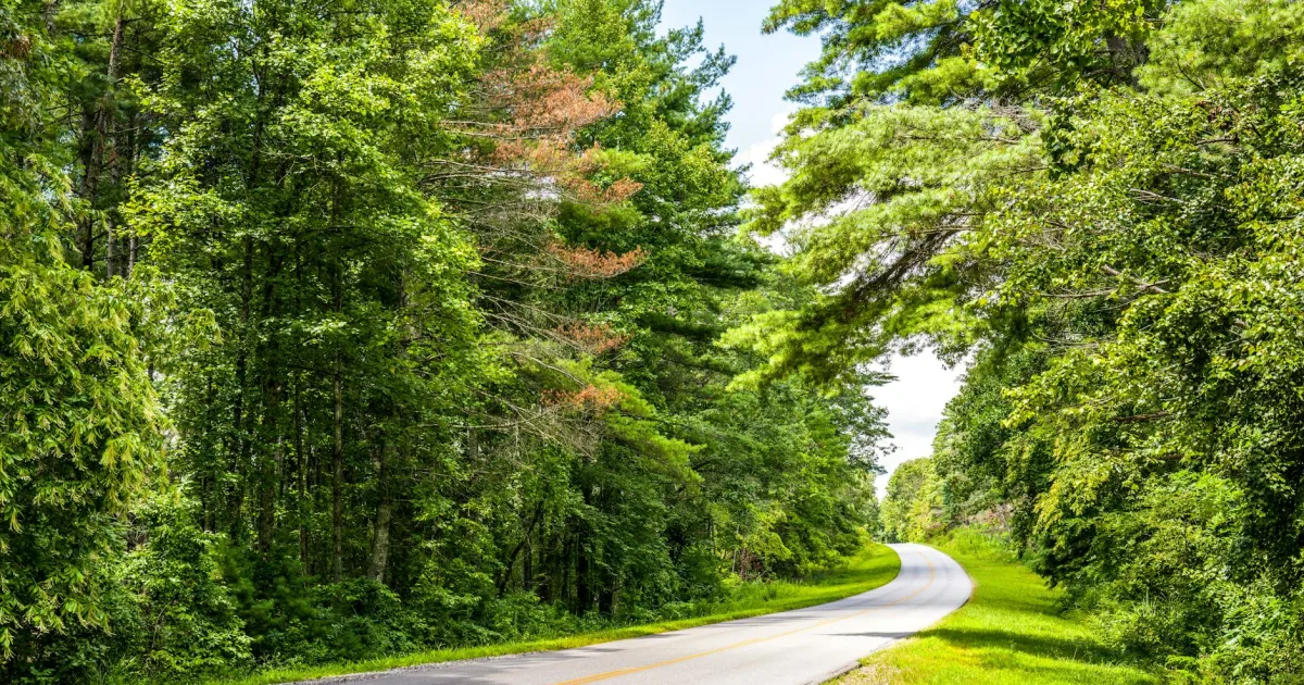 Downtown Hickory, NC, NC