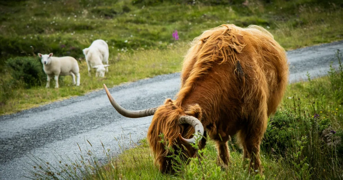 Downtown Highland, AR, AR
