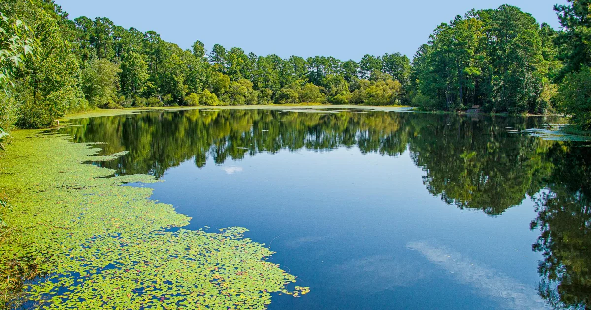 Downtown Horn Lake, MS, MS