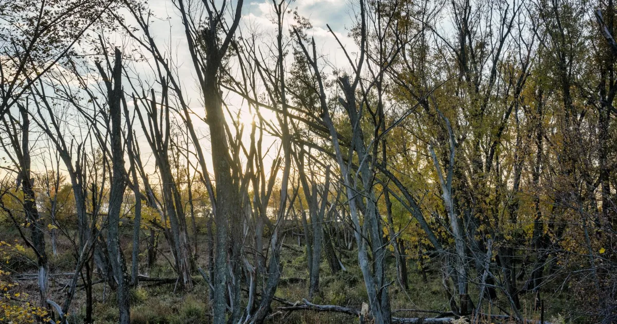 Downtown Howards Grove, WI, WI