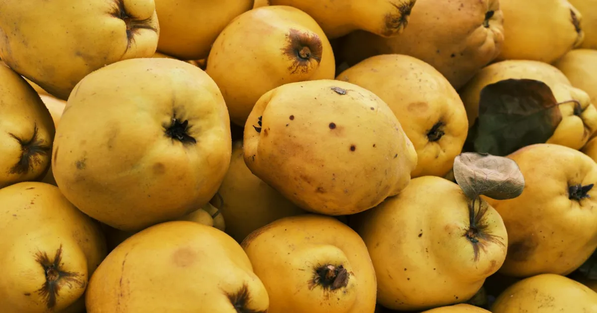 Downtown Hubbard, OR, OR