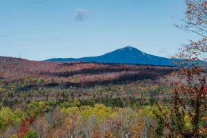 Downtown Kalispell, MT, MT