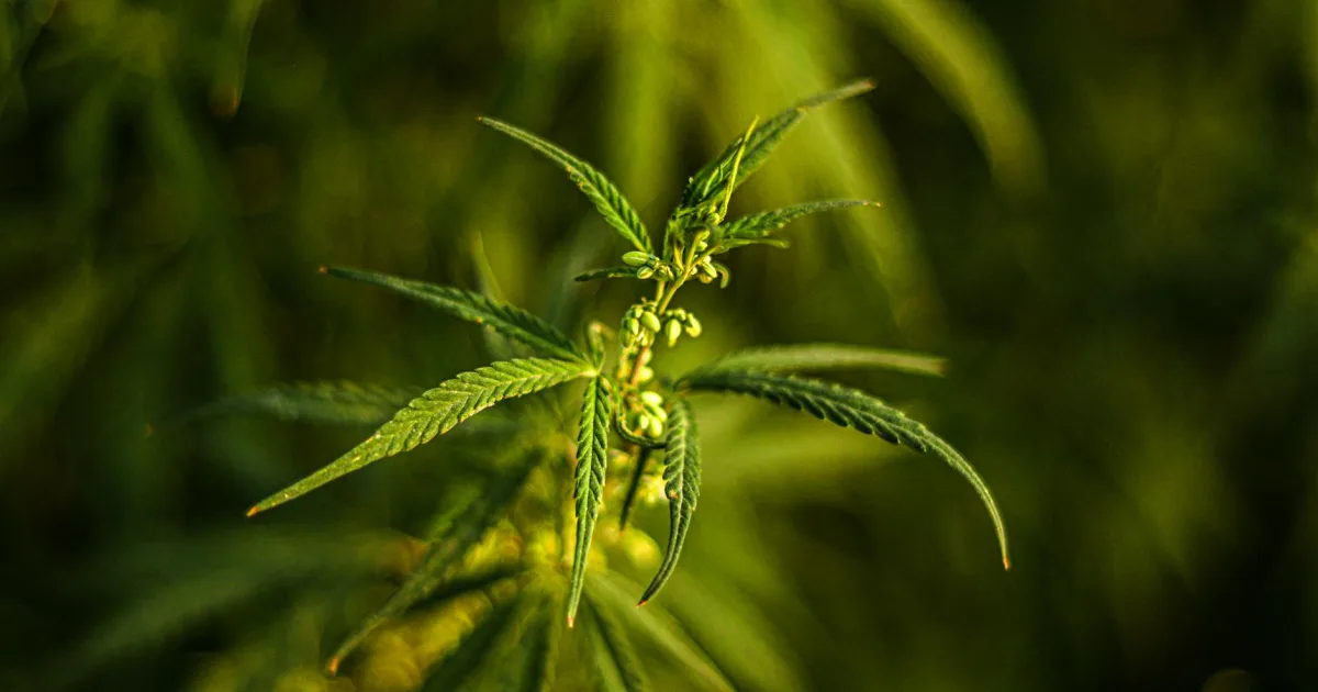 Downtown Kanab, UT, UT