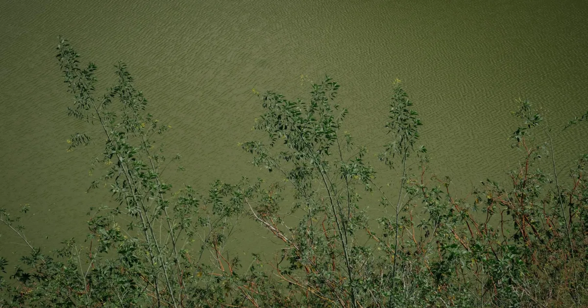 Downtown Lake Charles, LA, LA