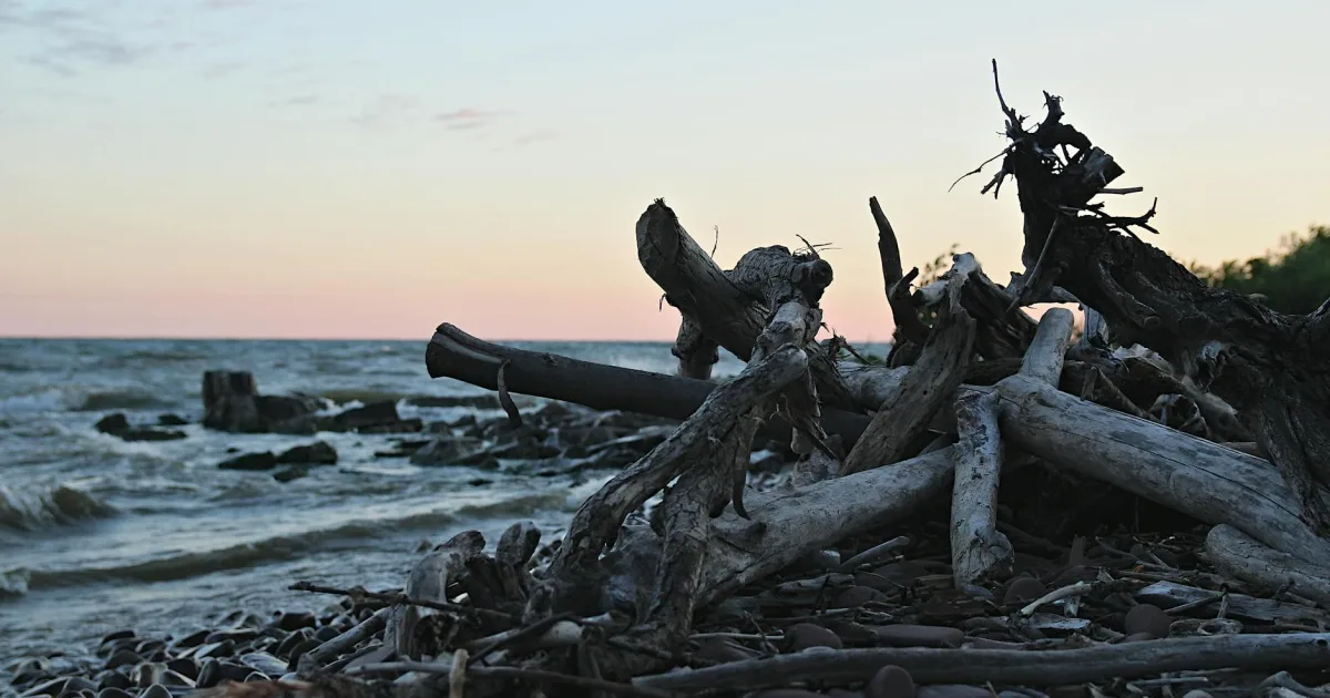 Downtown Lake Erie Beach, NY, NY