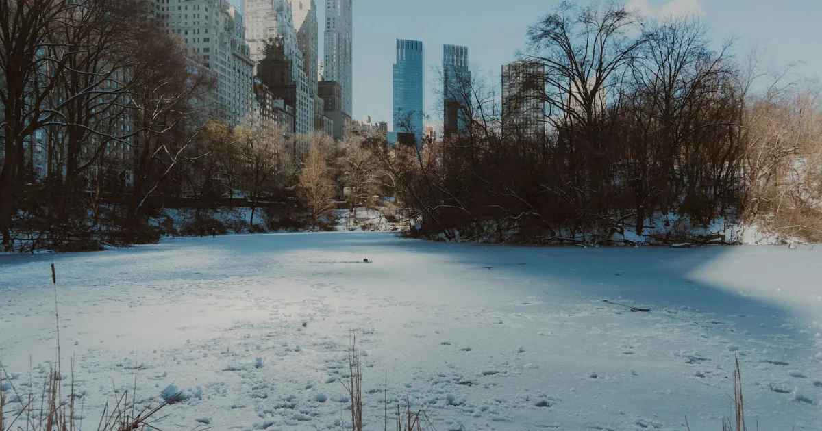 Downtown Lake Success, NY, NY