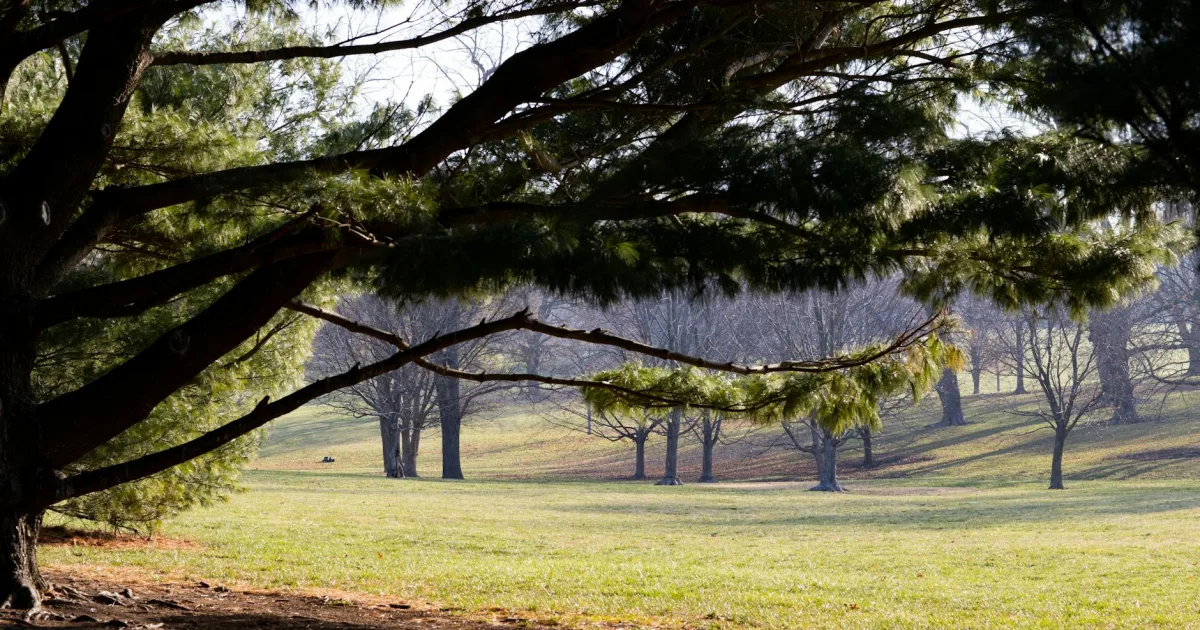 Downtown Locust Grove, GA, GA