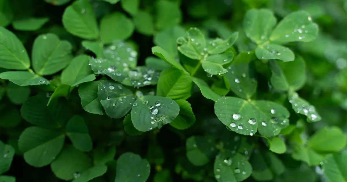 Downtown Luzerne, PA, PA