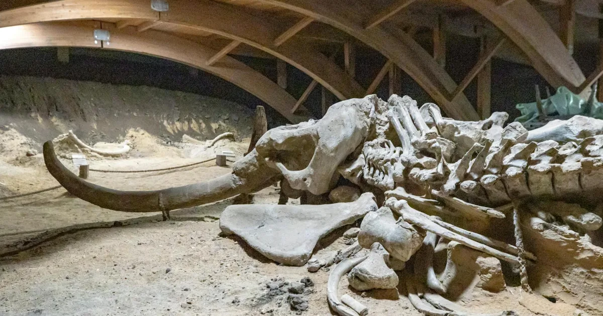 Downtown Mammoth, AZ, AZ