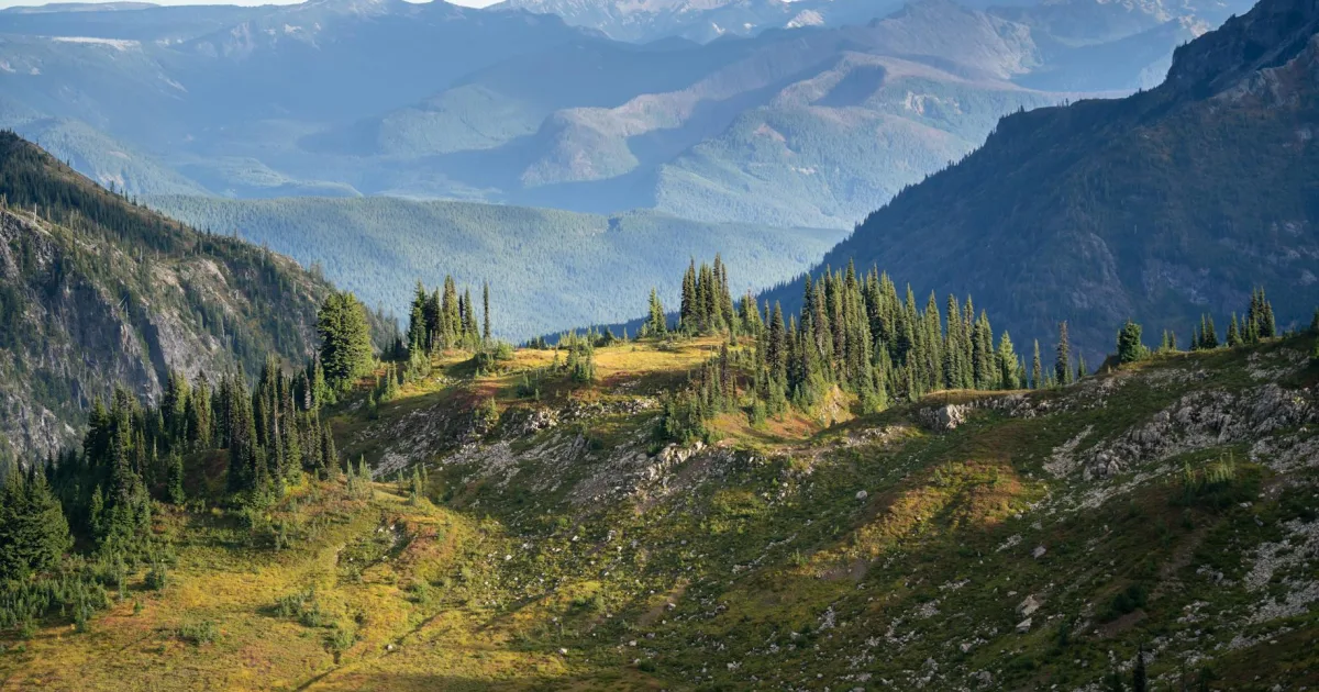 Downtown Miles City, MT, MT