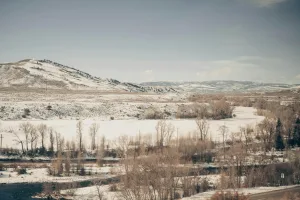 Downtown Millcreek, UT, UT