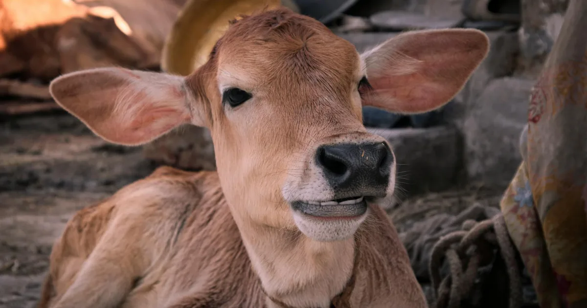 Downtown Mona, UT, UT