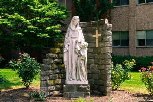 Downtown Mount Carmel, IL, IL