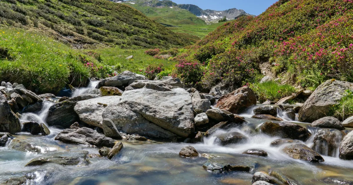 Downtown Mountain Brook, AL, AL