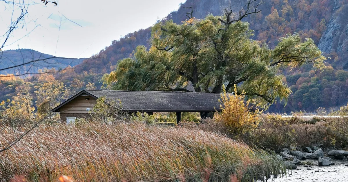 Downtown Mountainside, NJ, NJ