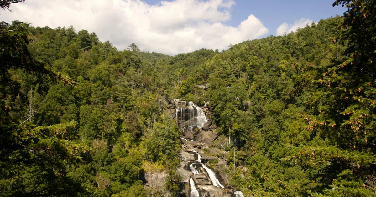 Downtown Navassa, NC, NC