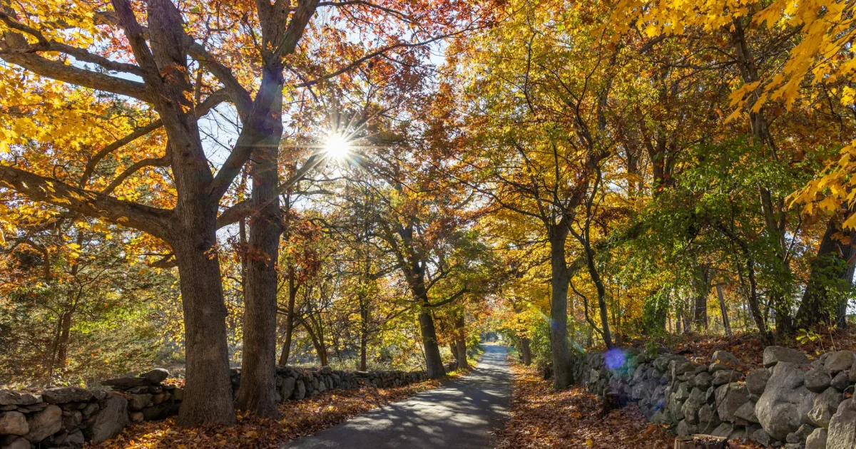 Downtown North Andover, MA, MA