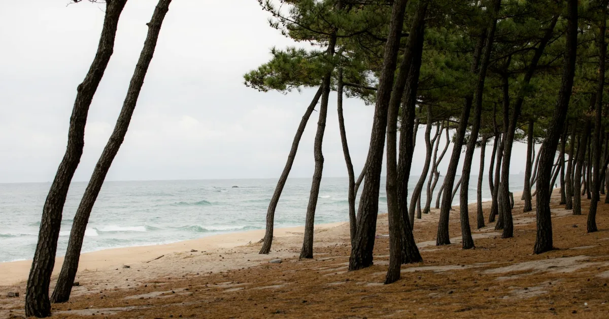 Downtown Ocean Pines, MD, MD