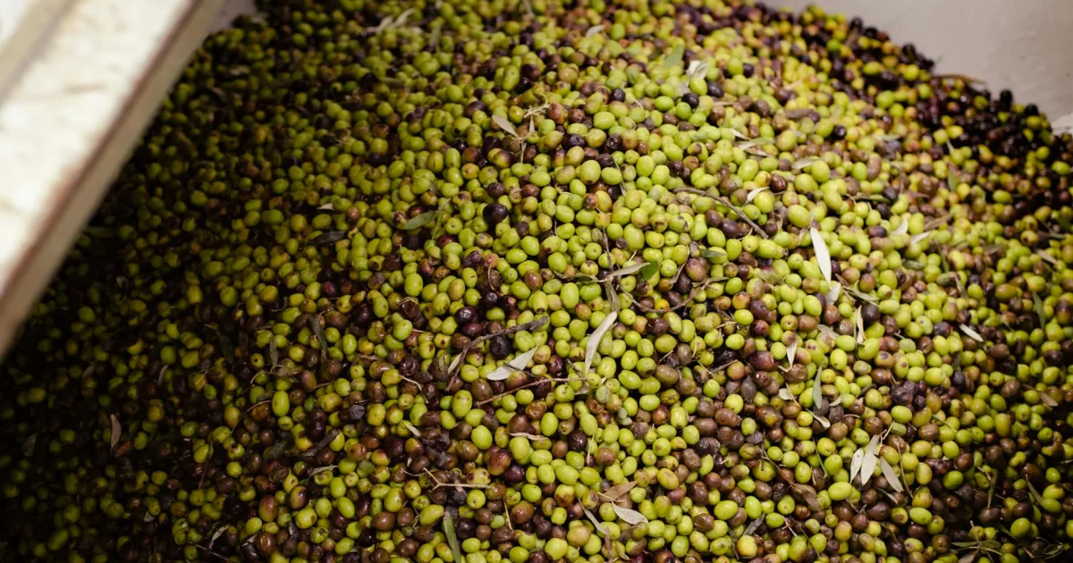 Downtown Oliver, PA, PA