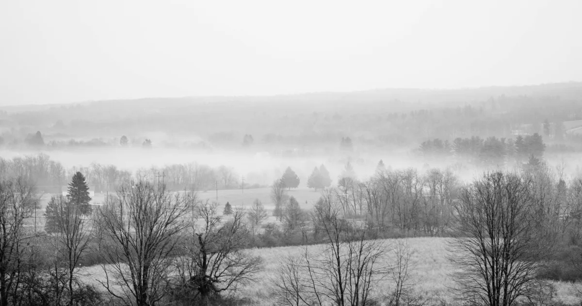 Downtown Orchard Hills, PA, PA