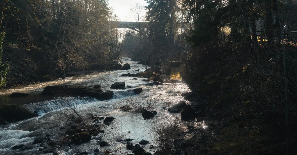 Downtown Orting, WA, WA