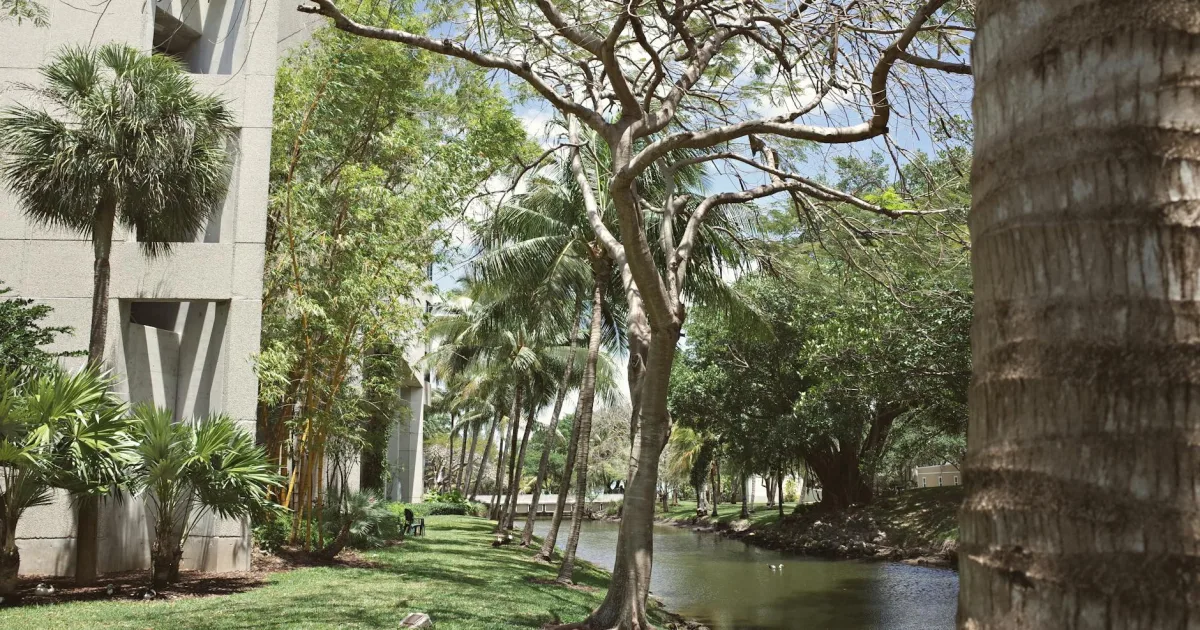 Downtown Palm Springs, FL, FL