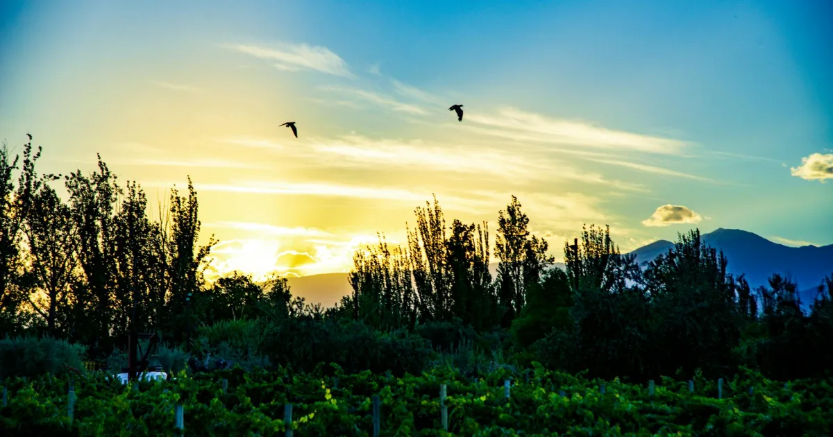 Downtown Paradise, NV, NV