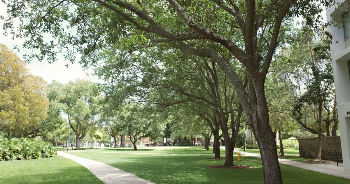 Downtown Perry, FL, FL