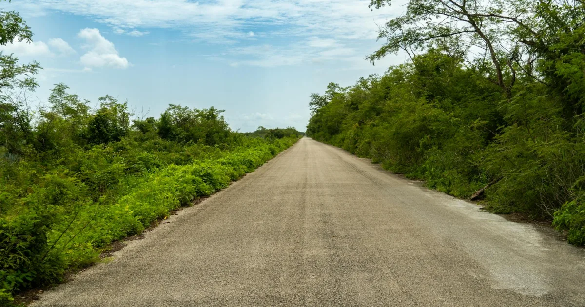 Downtown Pike Road, AL, AL