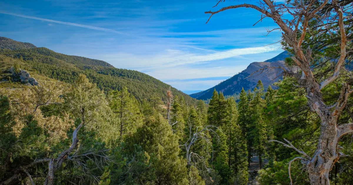 Downtown Pine Valley, CA, CA