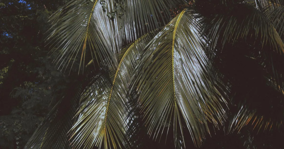 Downtown Plum, PA, PA