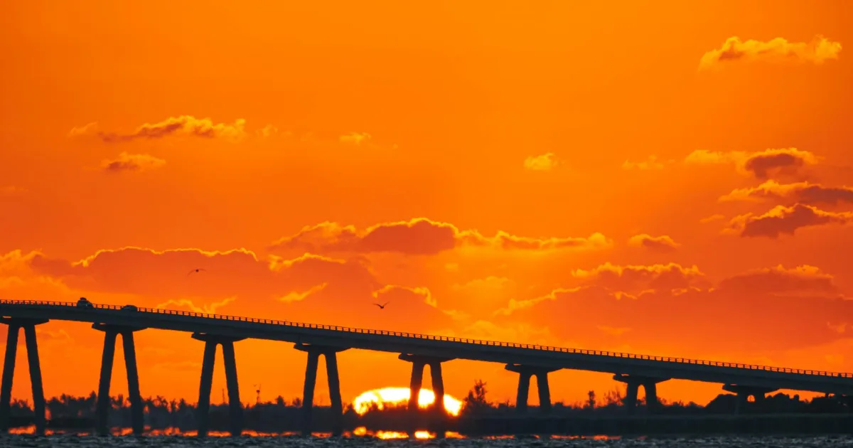 Downtown Port Charlotte, FL, FL