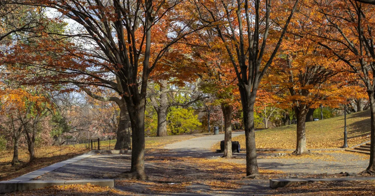 Downtown Prospect Park, PA, PA