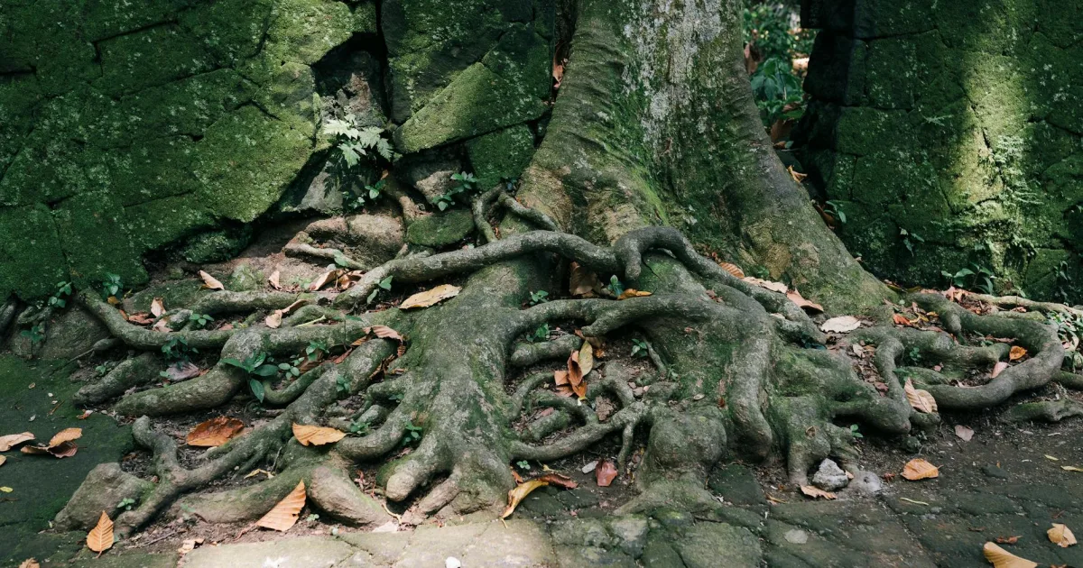 Downtown Racine, WI, WI