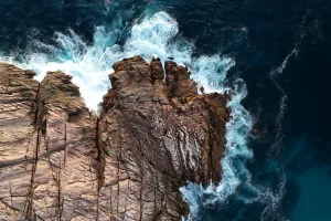 Downtown Redmond, WA, WA