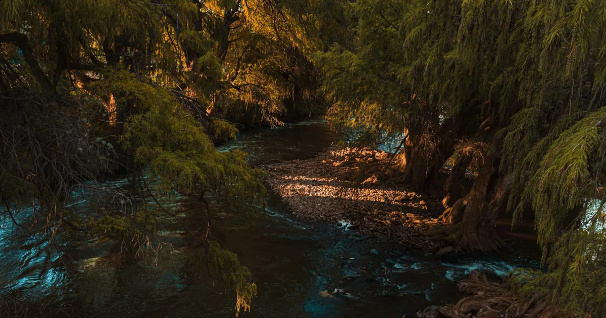Downtown Rio Bravo, TX, TX